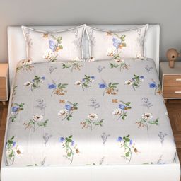 Florida Beige & Blue Floral 180 TC King Bedsheet with 2 Pillow Covers-image-72
