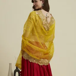 Dupatta Bazaar Embroidered Organza Dupatta with Sequinned image 5