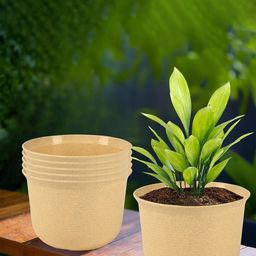 Kuber Industries Beige 6 Pieces Textured Planters With Plate image 1