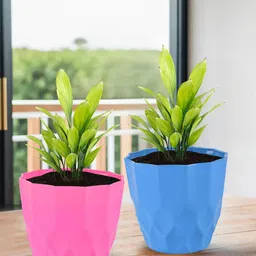 Kuber Industries Pink & Blue 2 Pieces Textured Durable Flower Pot Planters-48