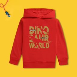 NUSYL Boys Printed Hooded Sweatshirt-picture-2