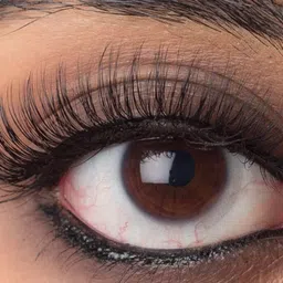 BOBI Dynamic D Curl Lashes -  DC02 image 3
