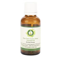 R V Essential Pure Curry Leaves Essential Oil - 30 ml-75