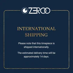ZEROO Men Skeleton Dial & Straps Analogue Automatic Watch ZT009SSBB image 5