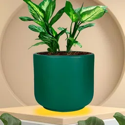 LASAKI Orin Green Small Deep Jungle Ceramic Planters-image-39
