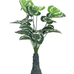 FOLIYAJ Green 1 Pieces Money Artificial Plant-17