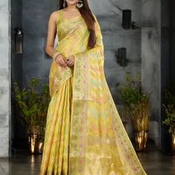 KIMISHA Woven Design Organza Banarasi Saree-image-49