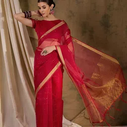 KALINI Striped Sequinned Saree-38