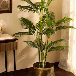 Elemntl Green 1 Pieces Palm With Pot-16