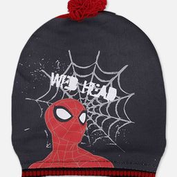 Kids Ville Boys Spiderman Printed Acrylic Beanies Cap-image-29