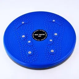 Twister Stepper Full Body Exerciser Workout Magnetic Accupressure Fat Buster Ab Exerciser-20