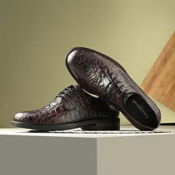 CARLO ROMANO Men Textured Leather Formal Derbys-picture-45