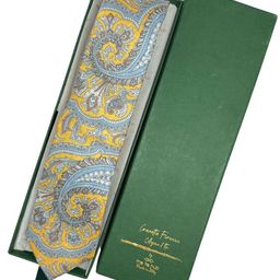 The Tie Hub Men Paisley Printed Skinny Tie-image-32