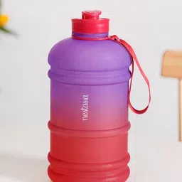 Nestasia Red & Purple Single Plastic Colourblocked Water Bottle-27