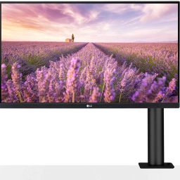LG 68.58 cm (27 Inch) Quad HD IPS Panel with HDMI, DP Ports, sRGB 99%, USB Type-C, Height / Swivel Adjustment Monitor (27QN880)-picture-4