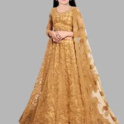 Piludi Girls Ready to Wear Lehenga & Blouse With Dupatta-picture-18