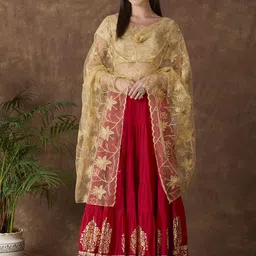 Dupatta Bazaar Embroidered Dupatta with Thread Work-59