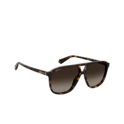 Polaroid Havana Unisex Square Sunglasses with Polarised Lens 20244408658LA-picture-4