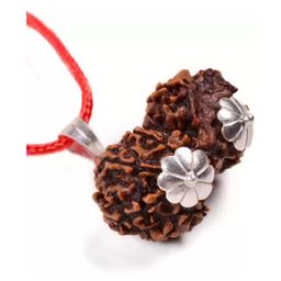 Divine souvenirs Unisex Brown Rudraksha Spherical Pendants-picture-21