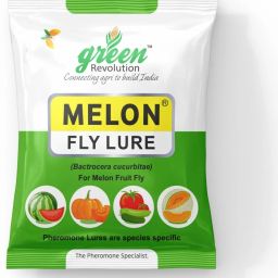 Melon Fly Lure (Bactocera cucurbite pheromone lure)-image-53