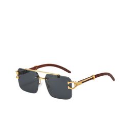 Secret Lives Unisex Grey Lens & Gold-Toned Square Sunglasses with-image-3