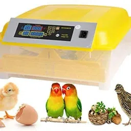 48 Egg Incubator Digital Automatic Turning and Hatching Poultry Hatcher for Chickens Ducks Goose Quails Birds Temperature Control Egg Incubator-image-75