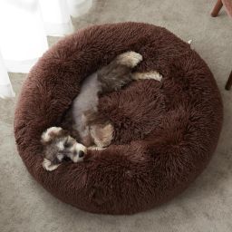The round donut pet bed is perfect for indoor cats and puppies winter, Summer M Pet Bed-image-41