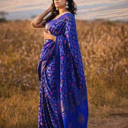 AMRUTKALA SAREES Ethnic Motifs Woven Design Banarasi Saree-picture-20