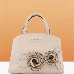 Caprese Women Solid Structured Leather Handheld Bag-15