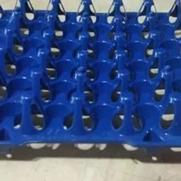 Egg Tray Plastic Tray-11