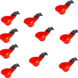 RED N CUP 10 C. Common Bird Feeder-picture-27