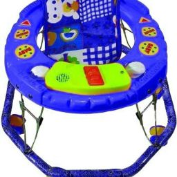 Musical Activity Walker-picture-16