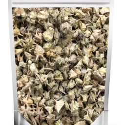 gokhru big, gokharu bada, pedalium murex, caltrops seed (100 gram) Seed-image-2