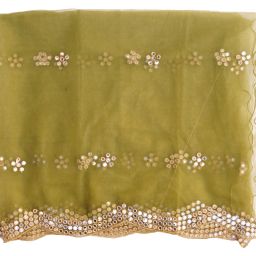 Net Embellished Light Green Women Dupatta-image-33
