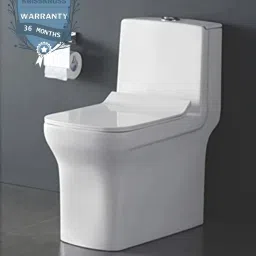 P Trap Outlet from Wall P Trap Outlet from Wall Western Commode-image-42