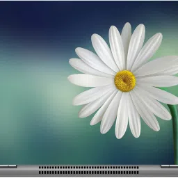 imbue sy 1 Digital quality vinyl Laptop Decal 15.6-image-99