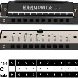 suicune Harmonica Mouth Organ 10 Hole C Key with Case, Diatonic Harmonica image 4