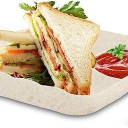 Multipurpose Snacks Plate for Serving Snacks Dhokla, Samosa, Sandwich, Burger Chip & Dip Tray-picture-18