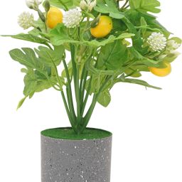Pear Fruit Bonsai Bonsai Artificial Plant with Pot-image-32