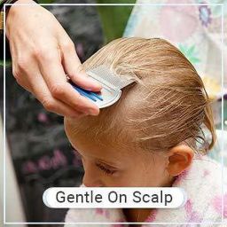 GREEN Premium Lice Comb With Steel Teeth removes Lice & Nits NIT Free Hair.-image-95