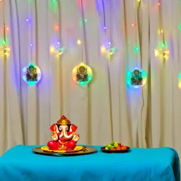 108 LEDs 3.01 m Multicolor Flickering, Steady, Color Changing Ganesh Rice Lights-image-19