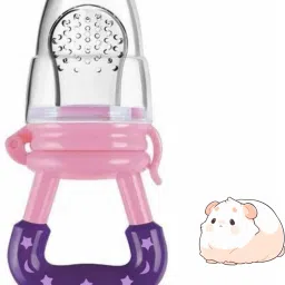 SST Sales Baby Food And Fruit Nibbler & Pacifier Teether BPA Free Nibbler BN384 Feeder-image-8