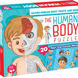 The Human Body Early Learning Fund & Easy Jigsaw Puzzle with 20 Pieces-16