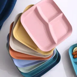 Wheat Straw Unbreakable 3-Section Reusable Portion Diet Plates 25cm (6Pcs) Sectioned Plate-image-43