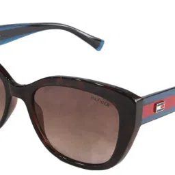 Gradient, UV Protection Cat-eye Sunglasses (54)-image-54