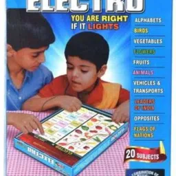 Educational Electro Activity Toy for Kids (Multicolor)-10
