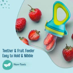 luvlap Elegant Silicone Food/Fruit Nibbler with Extra Mesh, Soft Pacifier & feeder Feeder image 3