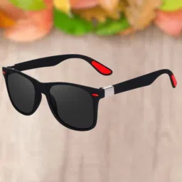 Polarized Wayfarer Sunglasses (Free Size)-picture-14