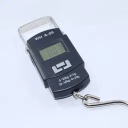 Virgo 50kg portable A11 Weighing Scale-image-18