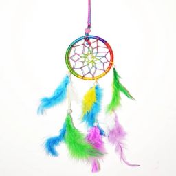 CarDCather51 Car Hanging Ornament-image-36